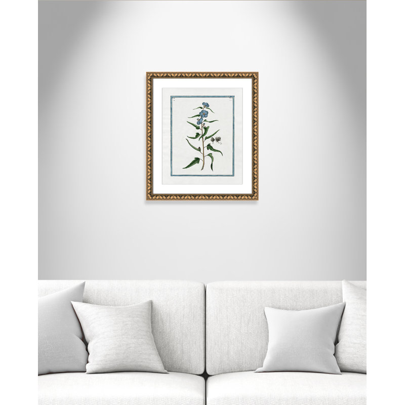 Colombe Shabby Elegance Botanical I - Art encadré avec fond perdu, Cadre en perle d'or, L 17 po x H 20 po