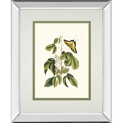 Butterfly Elegance Wall Art - 34" x 40" - Mirrored Frame