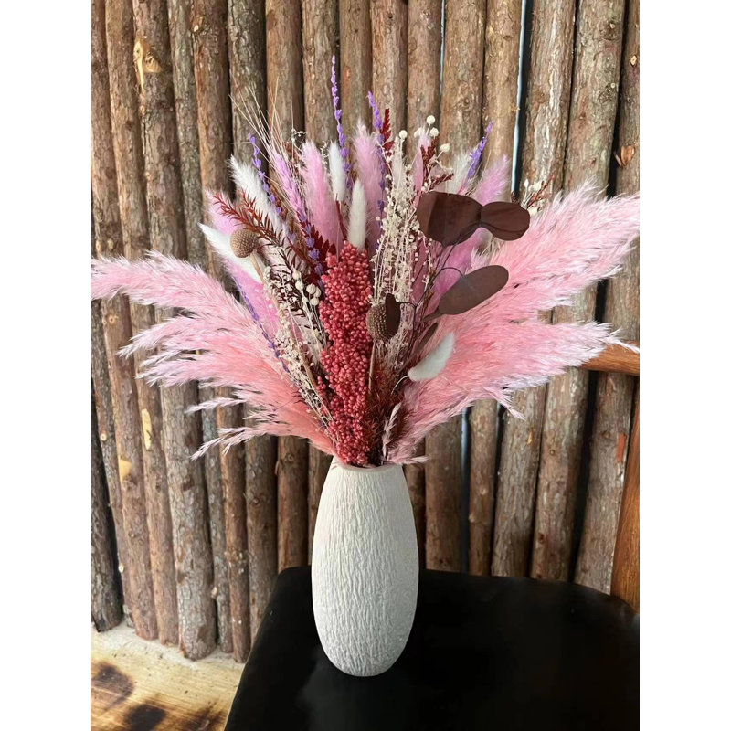 17'' Pampas Grass Plant