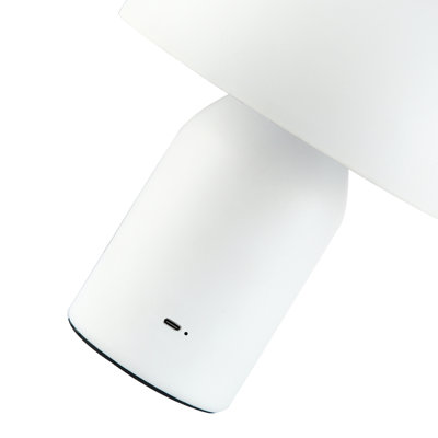 Rajina Metal Table Lamp
