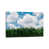 Wrapped Canvas