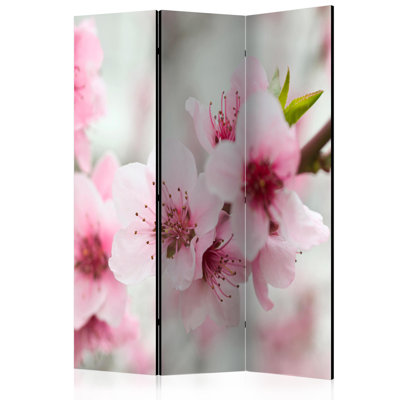 Movses 172cm H Folding Room Divider