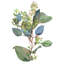«Red Barrel Studio® Wang, Melissa», reproduction d'art sur toile tendue: Eucalyptus-189808759