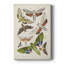 Mites antiques II - galerie Cavas sur mesure-118066066