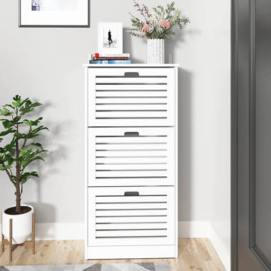 Shoe Storage Cabinet Latitude Run Finish: White