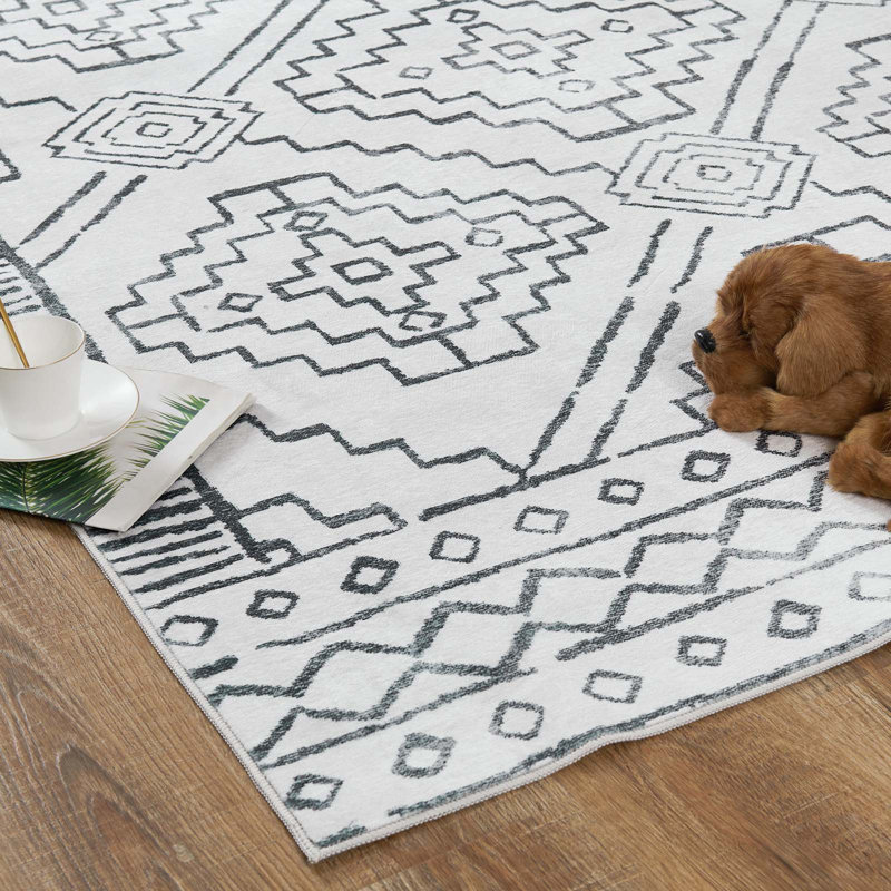 Tapis d'intérieur lavable en chenille avec envers antidérapant pour l'entrée de la chambre à coucher et la cuisine