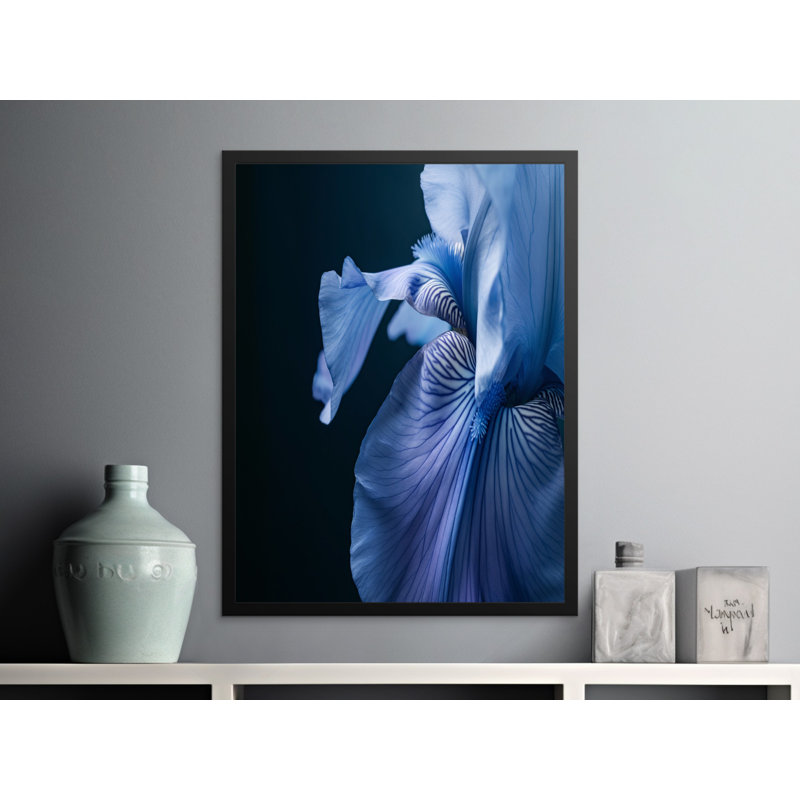 Condit Single Picture Frame Print, 40.64 cm H x 30.48 cm W