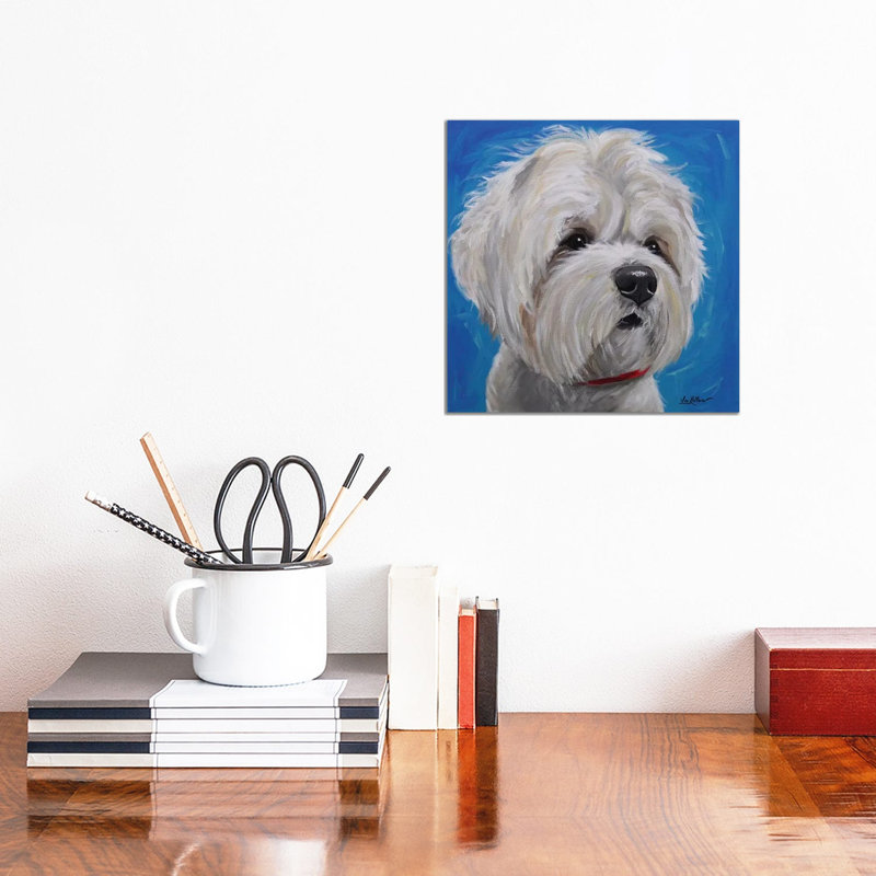 Maltese Shihtzu Mix - Pipa by Hippie Hound Studios - Wrapped Canvas Painting, 30.48 cm H x 30.48 cm W