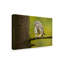 'Little Owl' Photographic Print on Wrapped Canvas-30317727