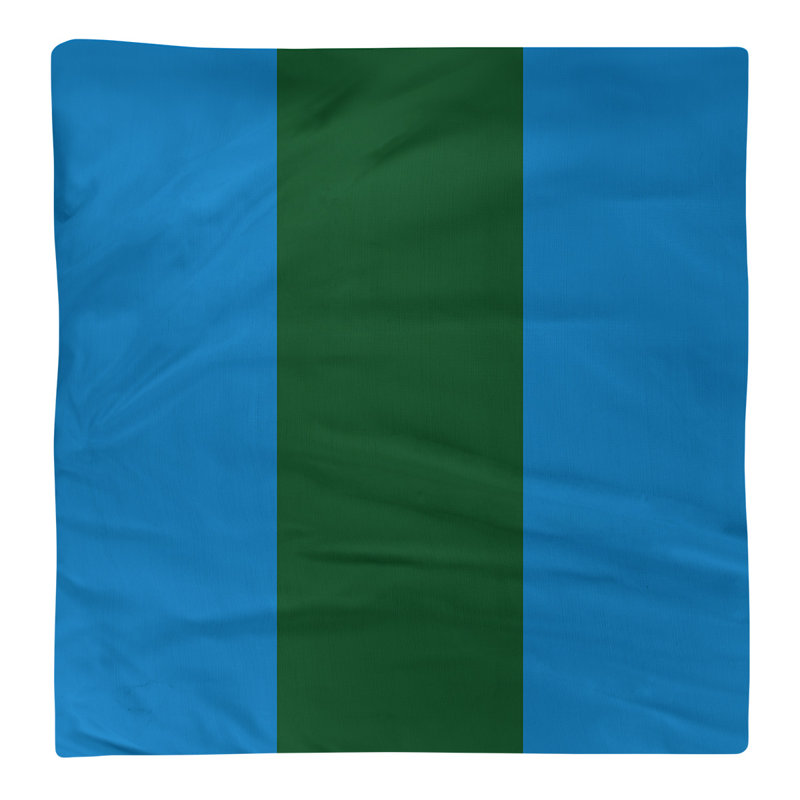 Serviette pour dîner de basket Milwaukee, l 10 po x L 10 po, Bleu des Grands Lacs / vert de Good Land / bleu de, Polyester