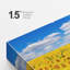 Tournesol, ciel nuageux, horizon, tournesols, nature sauvage - photographie sur toile tendue-75456200