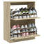 12 Pair Shoe Storage Cabinet-1878090962