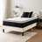 Wayfair Sleep 8" Plush Pillow Top Hybrid Mattress-66575447