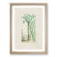 Cactus Illustration - Framed Print-55620952-55620953