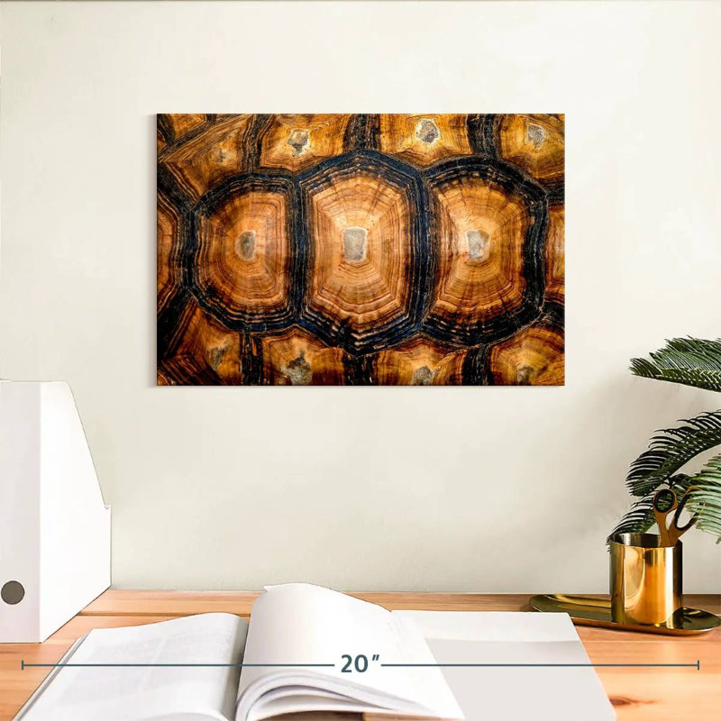 Turtle Shell, 8" H x 12" W