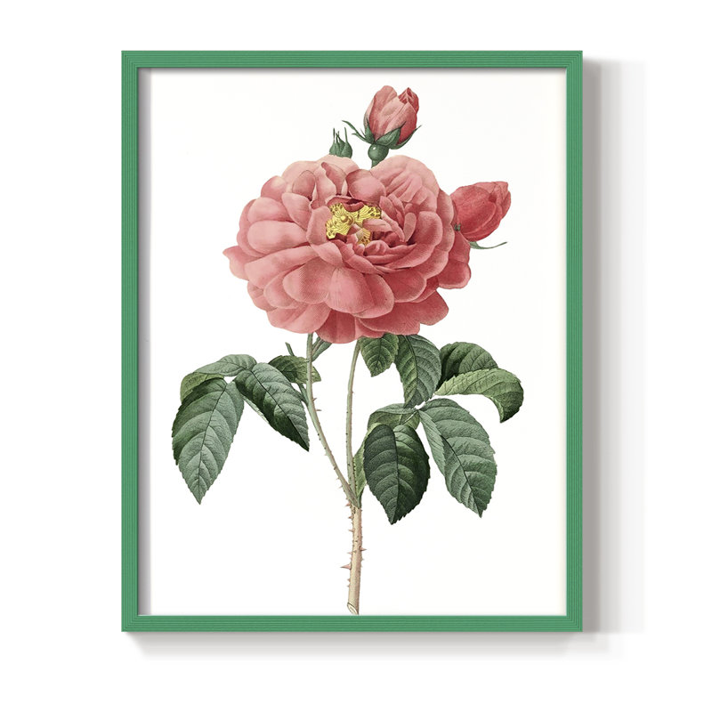 «Botanical Beauty III», reproduction encadrée - bois massif, H 30 po x l 24 po, Vert