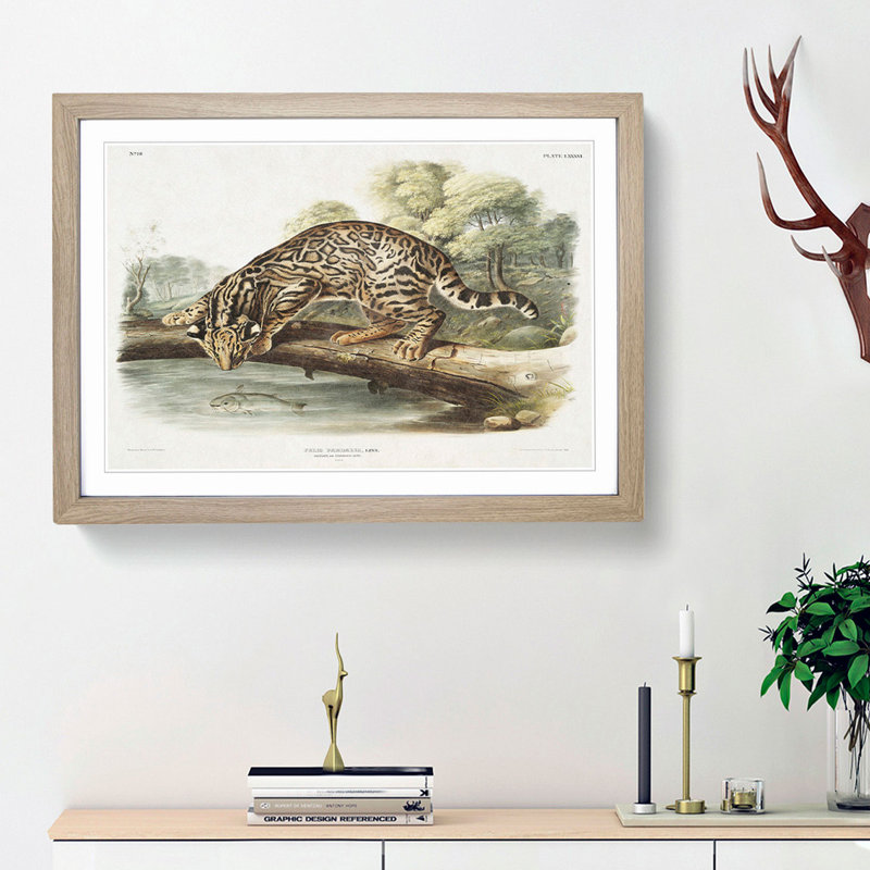 Leopard-Cat by J.W. Audubon - Picture Frame Painting Print, 36cm H x 48cm W x 2cm D, Oak Framed