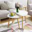 Three Leg Coffee Table-1750275599-1856529355