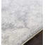 Oriental Area Rug-952105869