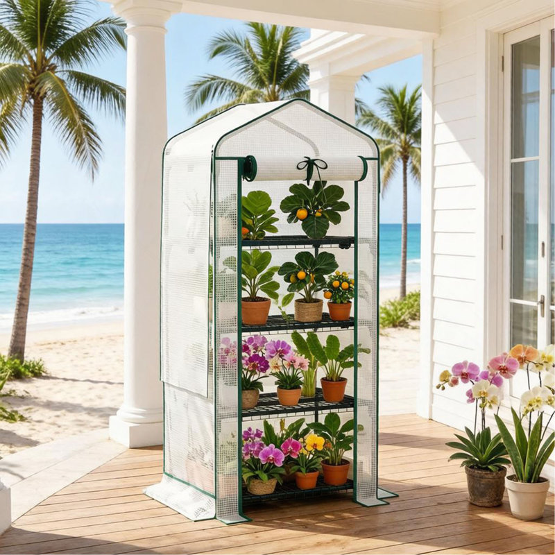 Petite serre de patio, petite serre extérieure, petite serre portable, petite serre de jardin