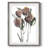 Heirloom Orbs I -Gallery Wrapped Canvas