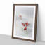 The Goldfish by Watanabe Seitei - Picture Frame Painting Print-55639867-55639864