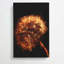 Dandelion Puff In Abstract by Fujishima Takeji - Wrapped Canvas Painting-55342760