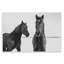 Plaque murale Draisma Hirdes Winter Horses, design par Amy Carroll-1898453238