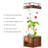 19.69"Vertical MediumSized Clear Glass Ecological Fish Tank-319787525