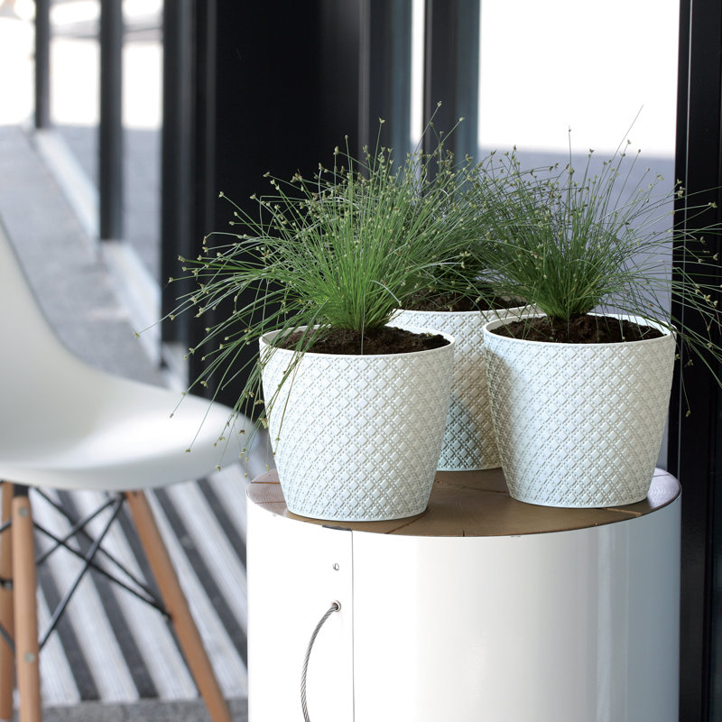 Aarati Planter, White, 11.2cm H x 12.8cm W x 12.8cm D