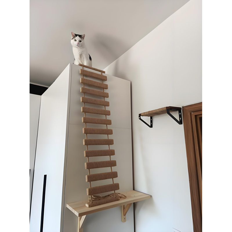 Cat Climbing Rope Ladder