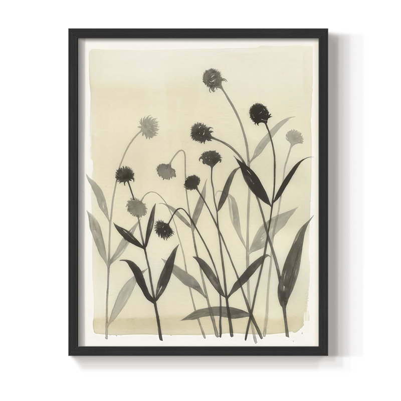 Summer Echinachea II, reproduction encadrée - bois massif, H 11 po x l 9 po, Noir, noir, noir, noir