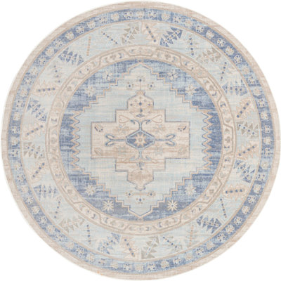 Matthei Oriental Indoor Rug