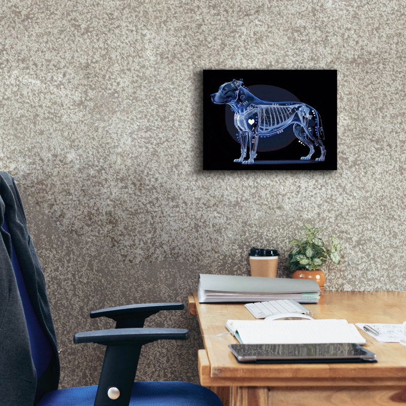 «Xray Pitbull» par Dean Russo, art mural sur toile, 16 po x 12 po, H 12 po x l 16 po