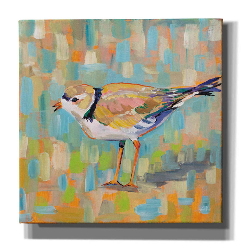«Coastal Plover IV» par Jeanette Vertentes, art mural sur toile, H 18 po x l 18 po x P 0,5 po