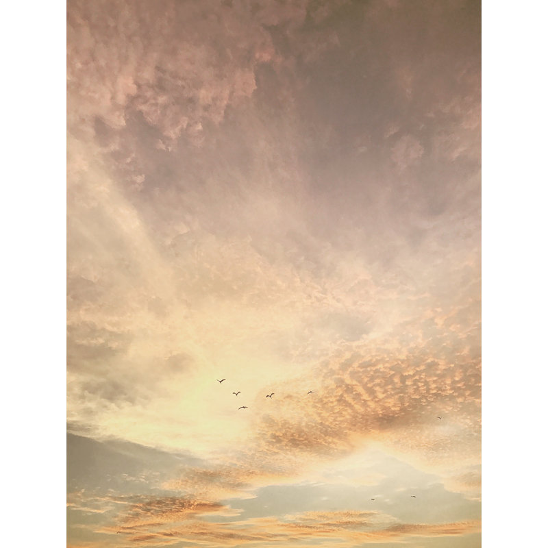Skyward Glow Wall Mural