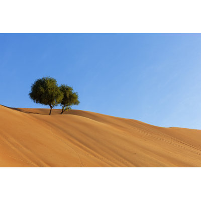 Desert Trees by 35007 - No Frame Art Prints on Canvas