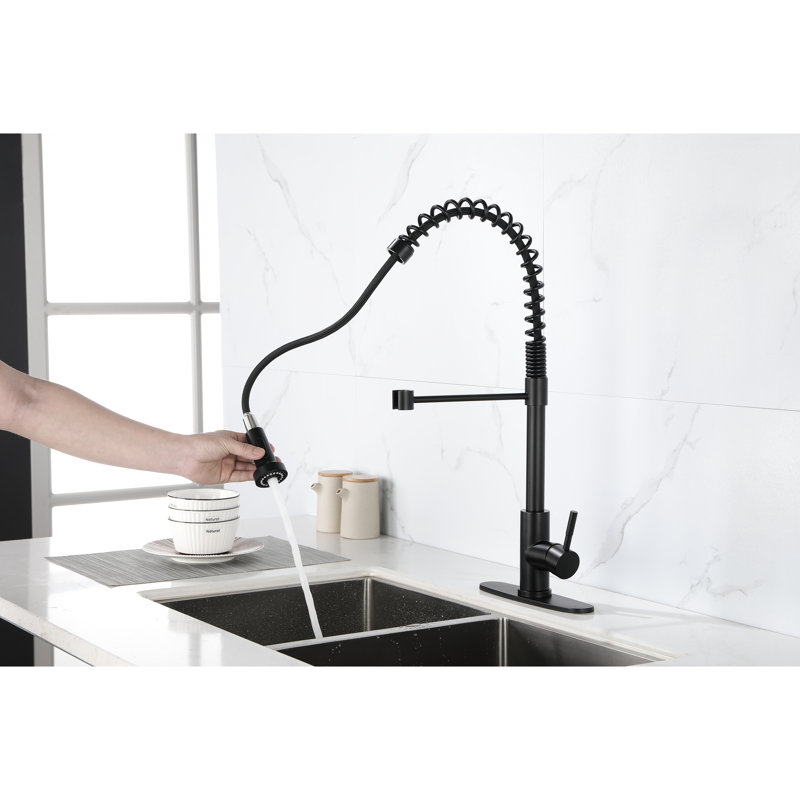 Robinet escamotable noir mat pour une utilisation commerciale, cuisine en acier inoxydable avec finition pratique