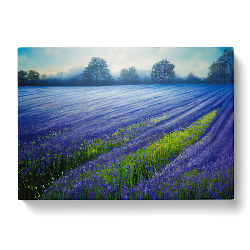 Magnetic Bluebell Field - Wrapped Canvas, 40cm H x 60cm W x 3cm D