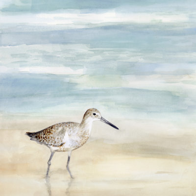 Speckled Willet I by Victoria Borges - Wrapped Canvas Painting