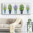 " Herbs In A Row "-894962095