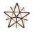 10" Wide Moravian Star Pendant