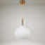 Luminaire suspendu en verre 1 lumière Jonny-1910959129
