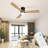Low Profile Ceiling Fan With Remote Control 52 Inch Flush Mount Indoor Outdoor Ceiling Fan 6 Speed With Timer 3 Reversible Wood Blades Noiseless Dc Motor For Patio Living Room Bedroom