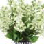 Bouvardia Arranged in Decorative Ceramic Vase