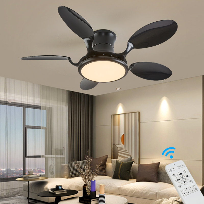 Argimiro 122cm Ceiling Fan with LED Lights