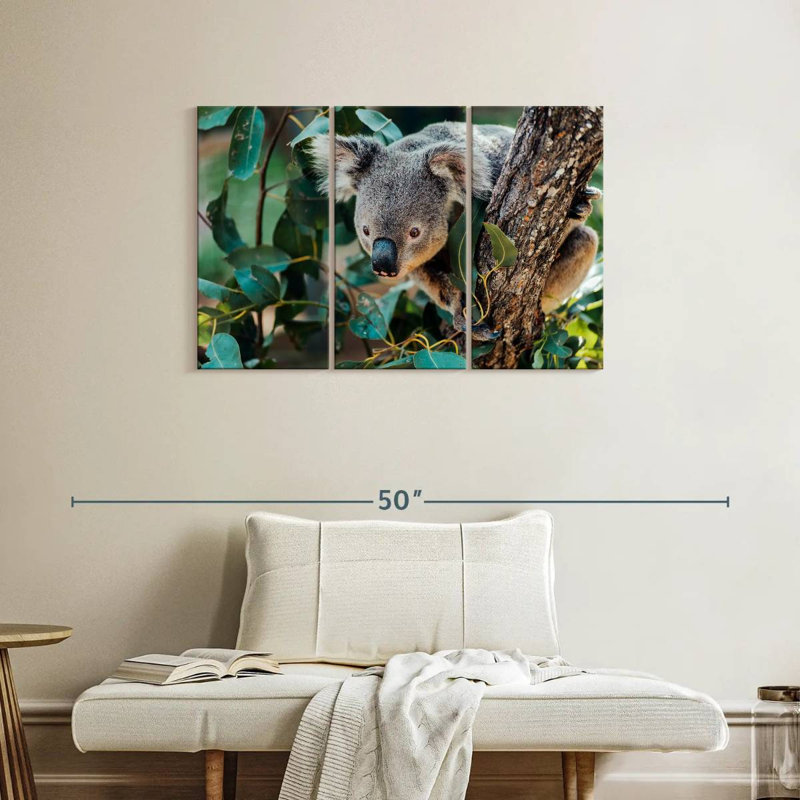 Australia Koala, 24" H x 38" W