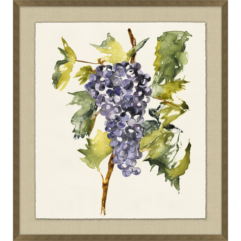 Vineyard Grapes Impression 1 Print by Nathan Turner