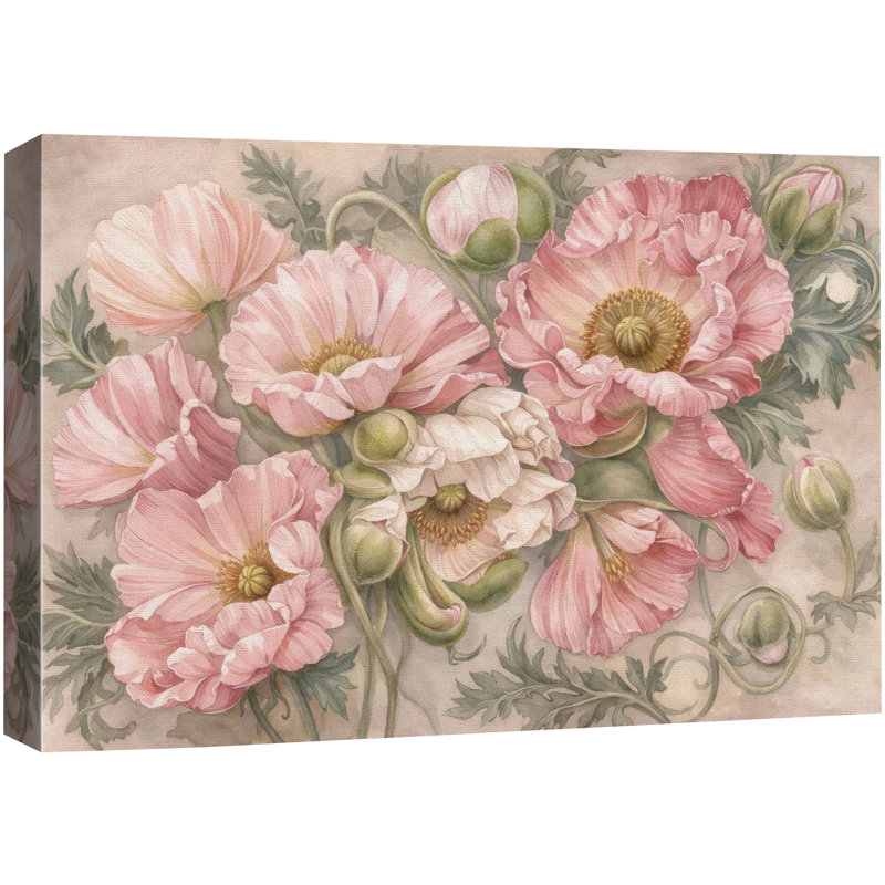 «Blush Pink Poppy», impression botanique sur toile, Toile tendue, H 24 po x l 36 po