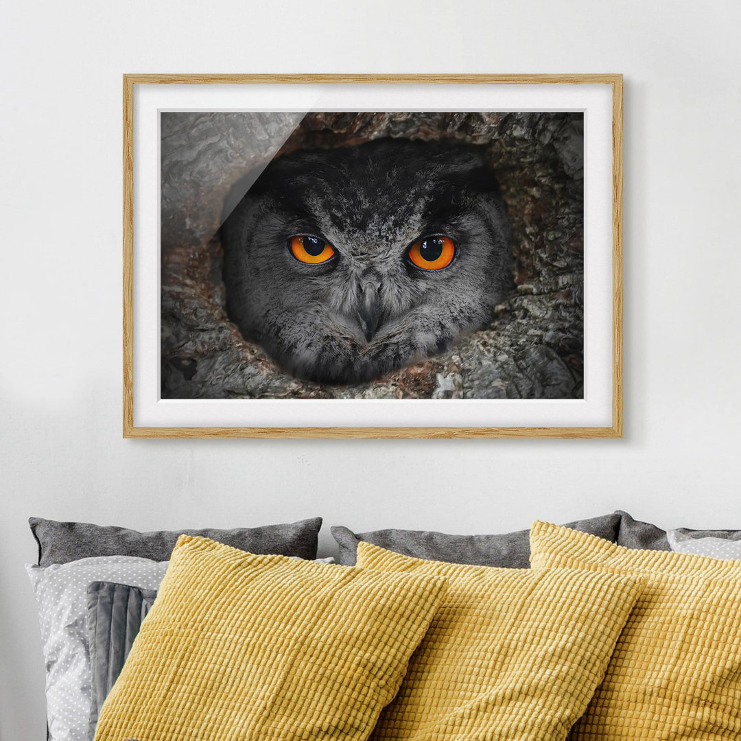 Gerahmter Fotodruck Watching Owl